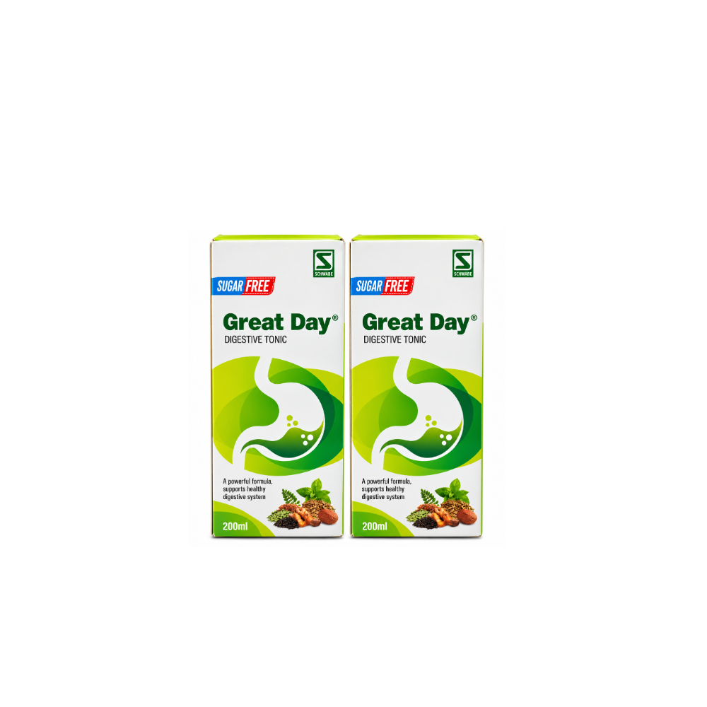 Great Day Sugar Free Digestive Tonic 200ml Pack of 2 by Schwabe, digestive tonic for gas, bloating and indigestion