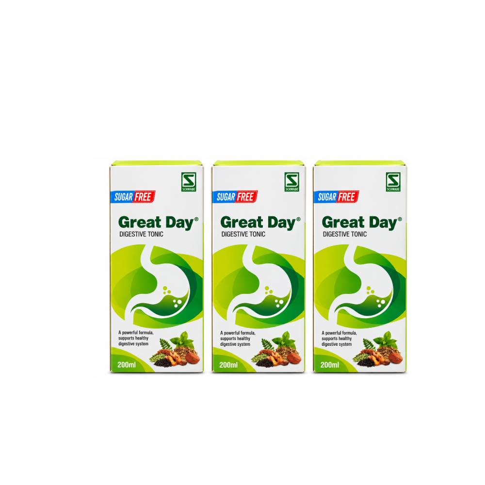 Great Day Sugar Free Digestive Tonic 200ml Pack of 3 by Schwabe, digestive tonic for gas, bloating and indigestion