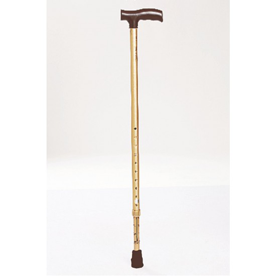 Tynor Walking Stick ( L Type)
