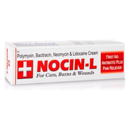 Nocin L Ointment